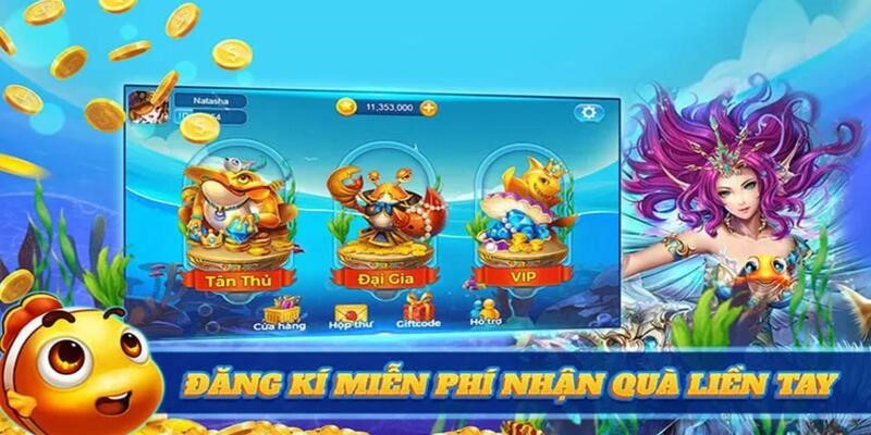 Quá trình tham gia săn cá cực đơn giản với 4 bước