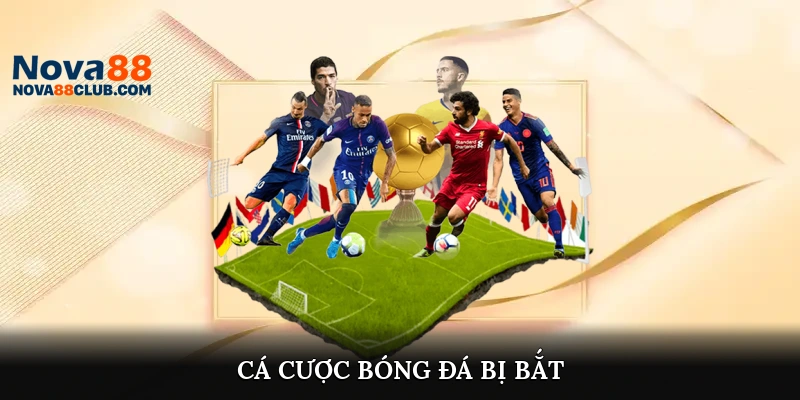 Cá Cược Bóng Đá Bị Bắt 
