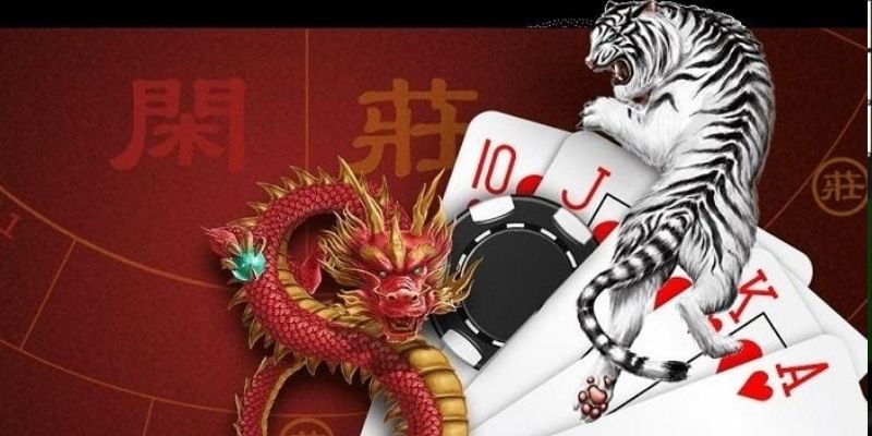 Nên cá cược Rồng Hổ ở đâu uy tín