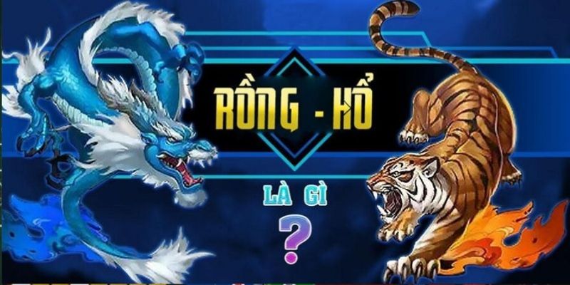Giới thiệu sơ lược về nguồn gốc game Rồng Hổ