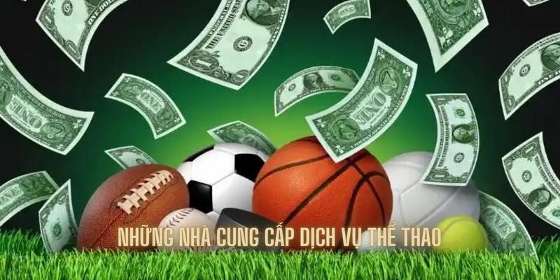 Tổng hợp những nhà cung cấp có tên tuổi tại nhà cái